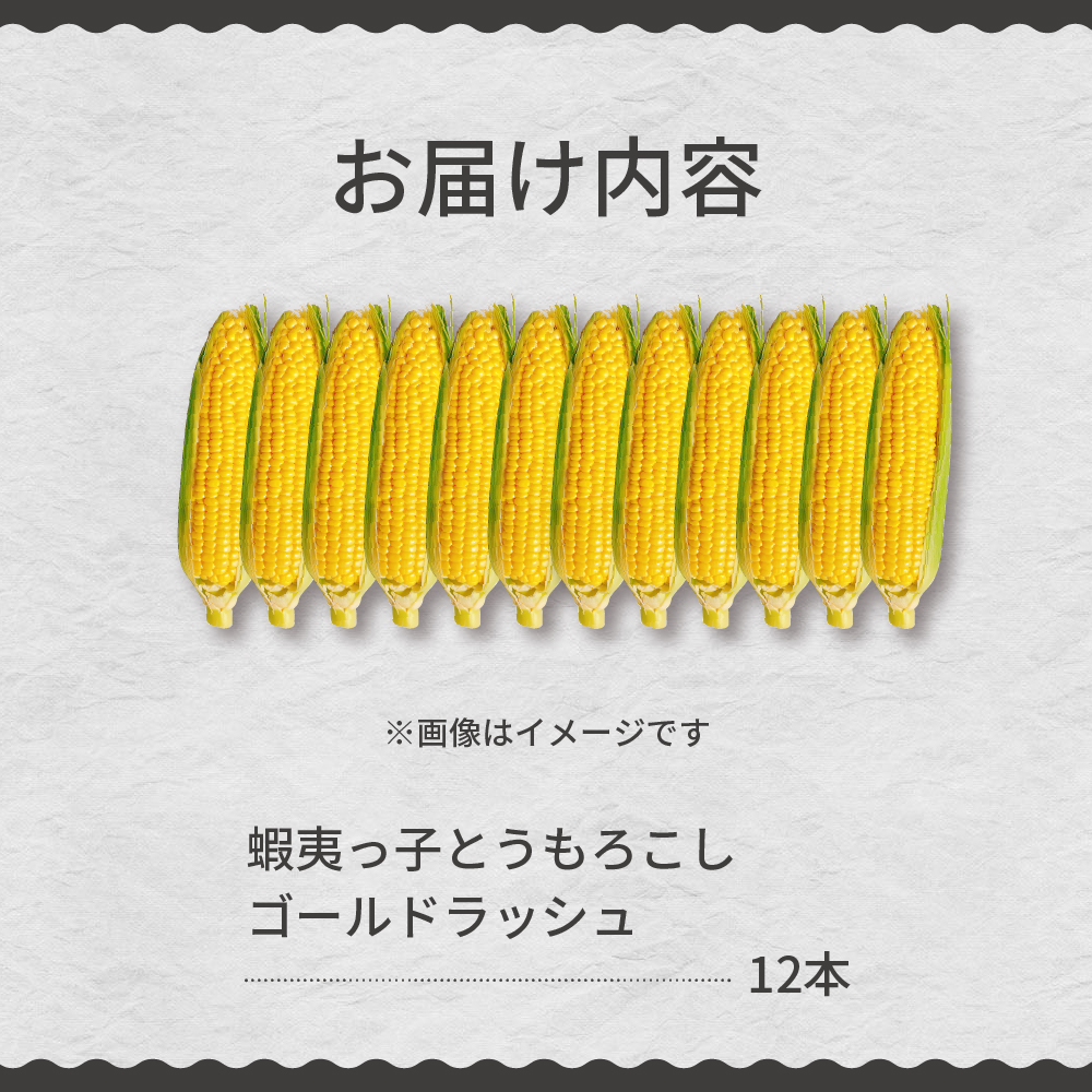 【先行受付】【2026年7月25日〜8月15日頃発送予定】朝採りをお届け！ 北海道十勝芽室町　蝦夷っ子とうもろこし ゴールドラッシュ 12本 me076-009c-26