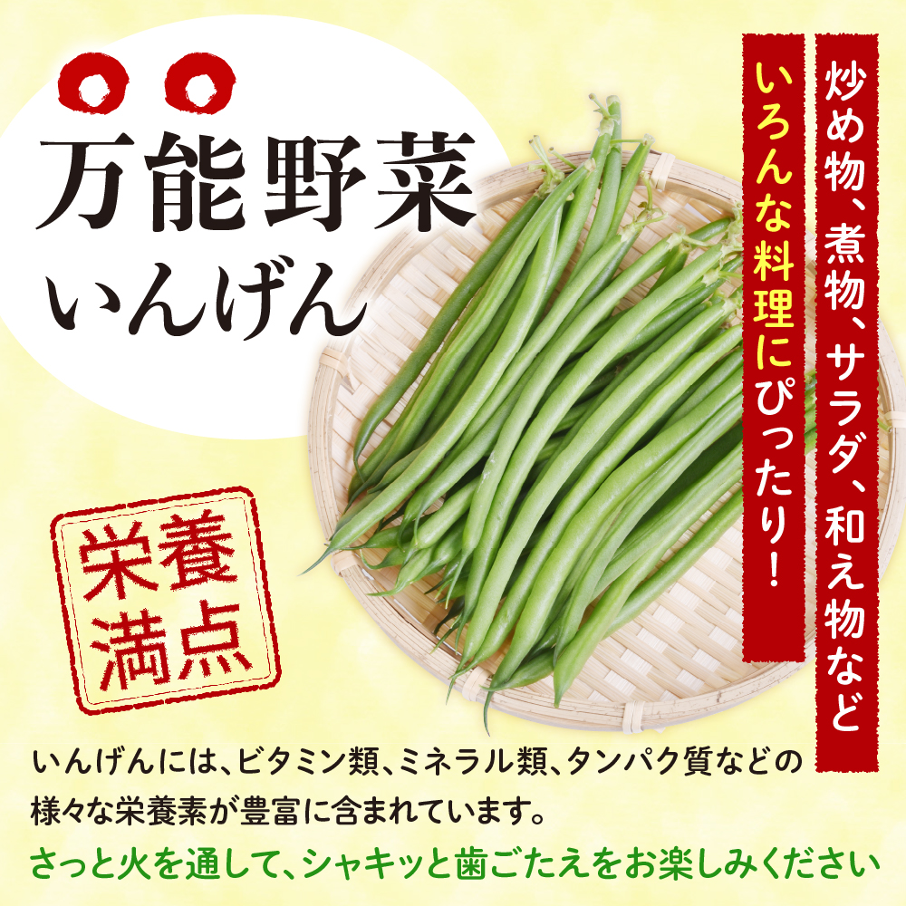 北海道十勝芽室町 十勝めむろ 冷凍野菜 いんげん 300g×3袋 me003-120c