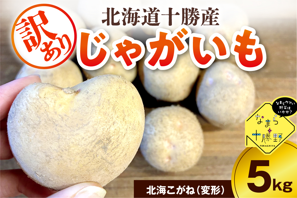 【10月上旬～1月下旬頃配送】【訳あり】北海道十勝芽室町 農家応援じゃがいも 北海こがね（変形）5㎏　me001-050c-3