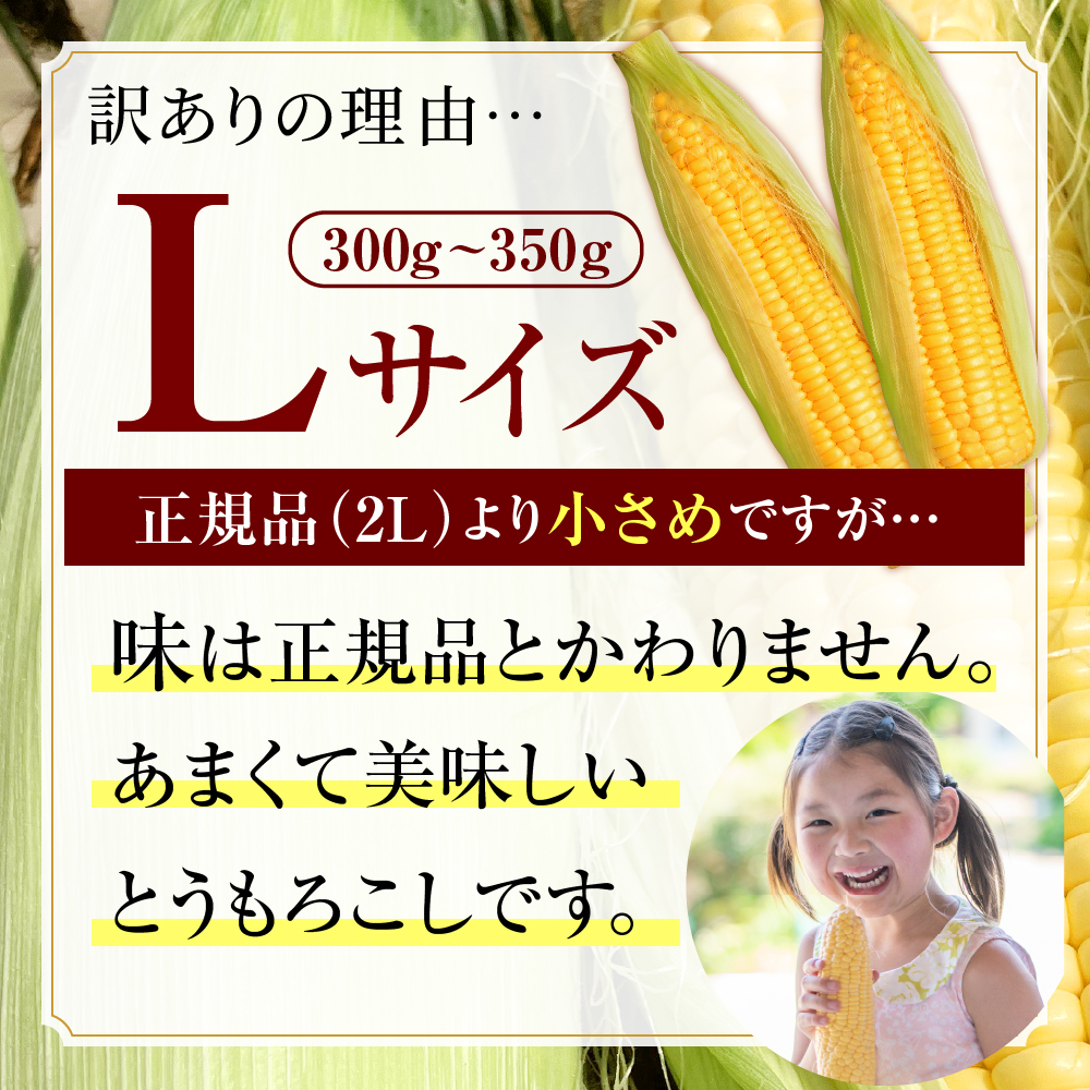 ãå
è¡åä»ãã2026幎8æäžæ¬ïœ8æäžæ¬é é
éããèš³ãããåæµ·éååèœå®€çº ãšããããã ãŽãŒã«ãã©ãã·ã¥ Lãµã€ãº 10æ¬ã»ãããme078-006c-26