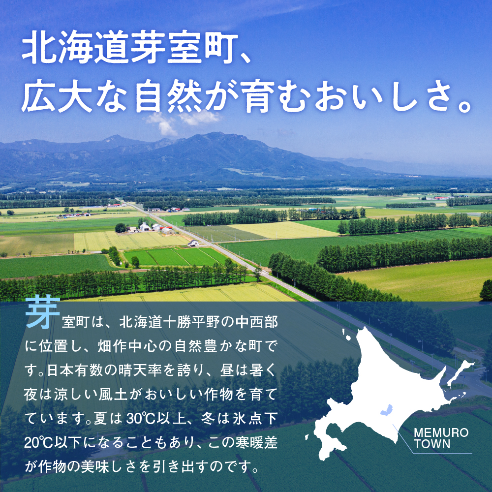 【先行受付】【2025年10月より配送予定】北海道十勝芽室町 愛菜屋のめむろごぼう5kg me002-006c