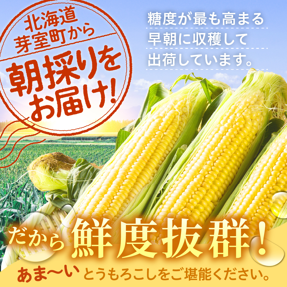 【先行受付】【2026年7月下旬～8月中旬頃配送】北海道十勝芽室町 とうもろこし 2L 9本入り me002-021c-26