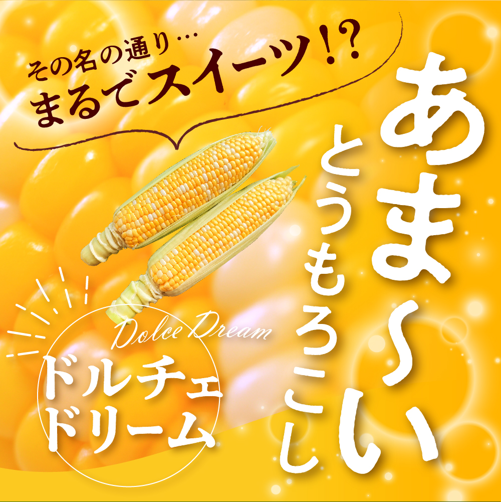 【2025年分先行予約】ドルチェドリーム(10本) 　とうもろこし 高評価 ★ 北海道産 なまら十勝野  キャンプ飯 BBQ ソロキャン人気 トウモロコシ 生 野菜 北海道 十勝 芽室町 送料無料 お取り寄せ　me001-043c-25