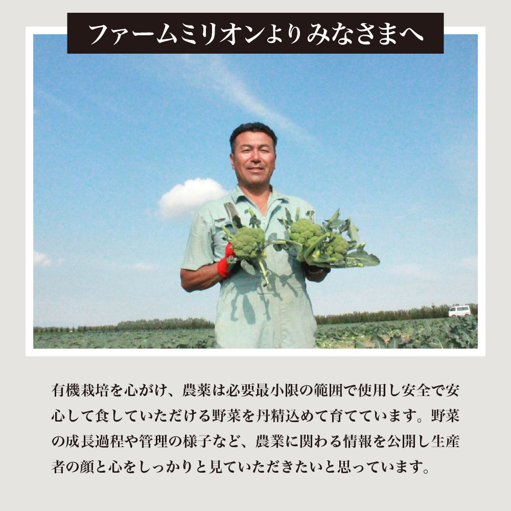 【先行受付】【2026年8月上旬〜8月中旬頃発送】北海道十勝芽室町 ファームミリオンの極甘スイートコーン 10kg me016-017c-26／ゴールドラッシュ とうもろこし とうきび コーン お取り寄せ 産地直送 送料無料 国産 