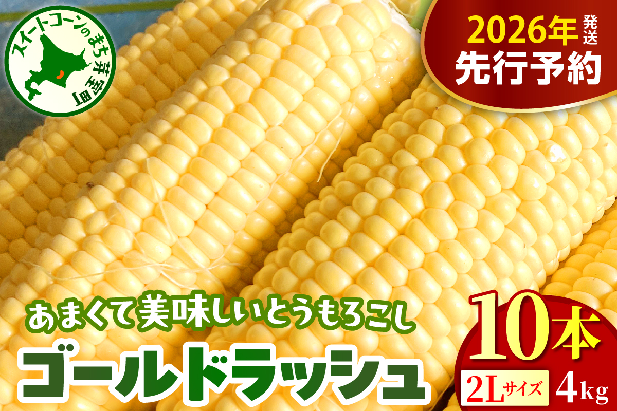 【2026年8月上旬～8月下旬頃配送】北海道十勝芽室町 とうもろこし ゴールドラッシュ 2Lサイズ 10本セット me078-003c-26／コーン 朝採り 産地直送 糖度 生 野菜 新鮮 BBQ 冷蔵 送料無料 お取り寄せ