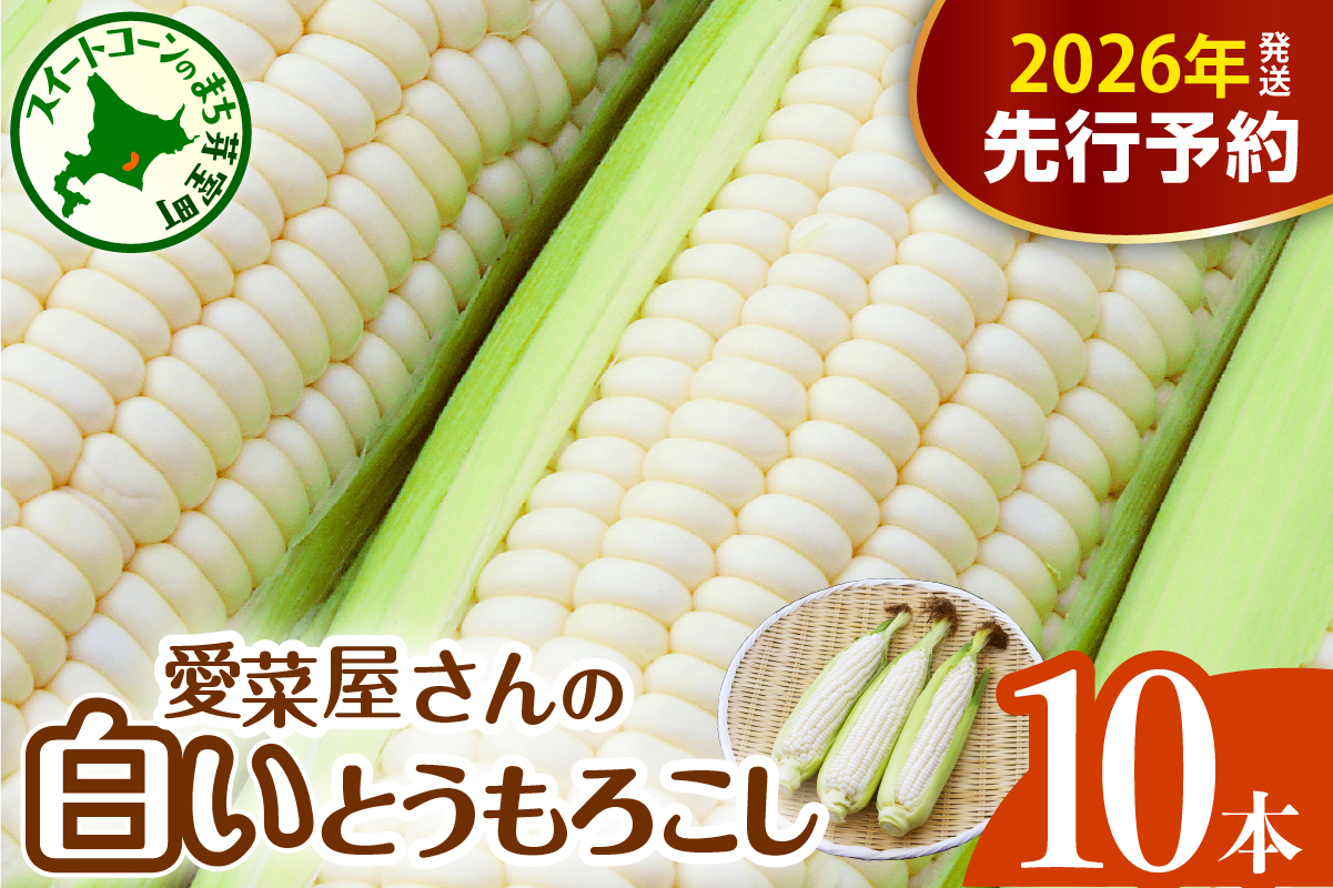 【2026年7月下旬～8月中旬頃配送】北海道十勝芽室町 とうもろこし 10本 ホワイト種 me002-005c-26／人気 キャンプ飯 BBQ とうきび コーン 甘い 野菜 白 送料無料 お取り寄せ 贈り物 ギフト 贈答 期間限定 
