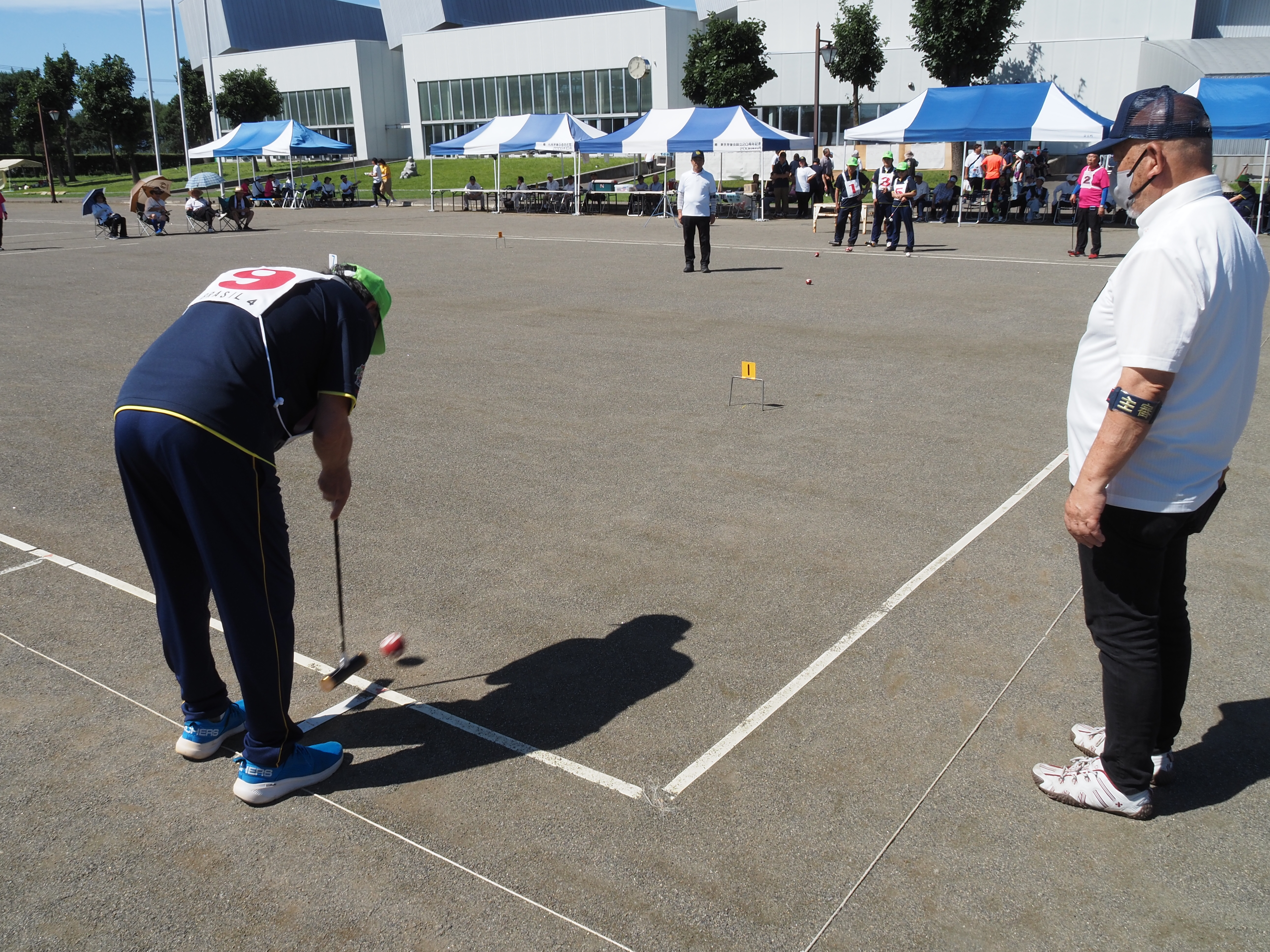 ゲートボール等のスポーツの振興