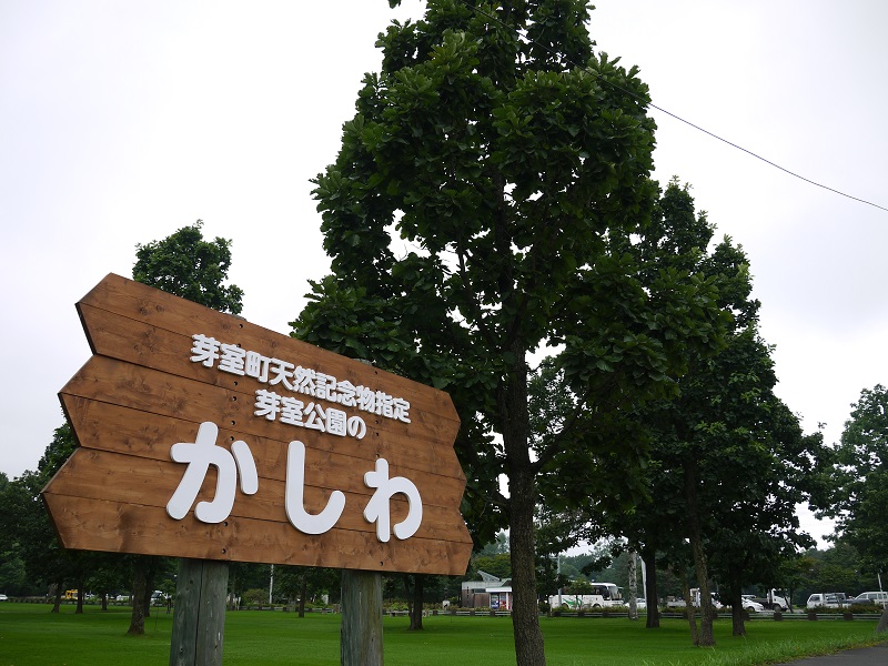 自然環境・地域景観の保全