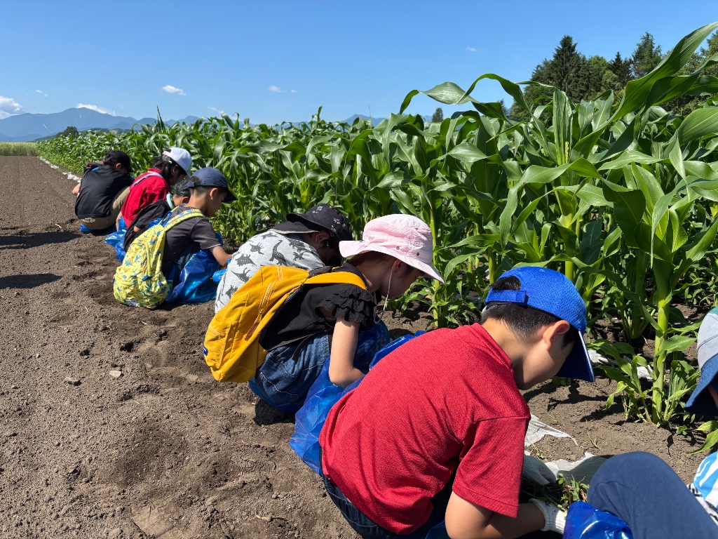 農業・商工業の振興