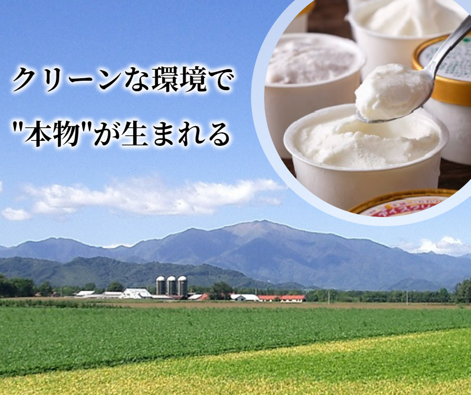 十勝産生乳の旨み！ジェラートアイスクリーム 16個セット CAMEMBERT（カマンベール）[C1-17]