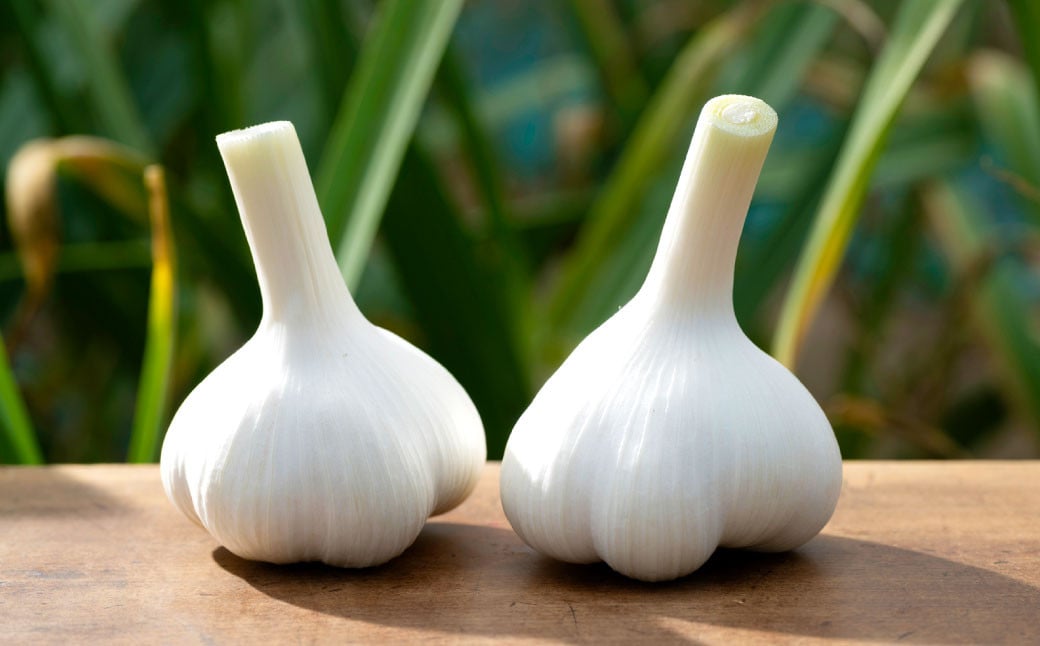 芳醇な香りと上質な風味を探求！北海道 十勝 中札内村 鎌田農園の至高にんにく 大玉 （Lサイズ） 6個入り にんにく ニンニク 大蒜 【2025年10月上旬～2026年4月上旬に順次発送予定】  [020-0024x1]