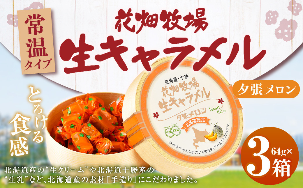 花畑牧場 生キャラメル 夕張メロン（常温） 64g×3セット 沖縄配送可 キャラメル お菓子 おやつ メロン [002-0090]