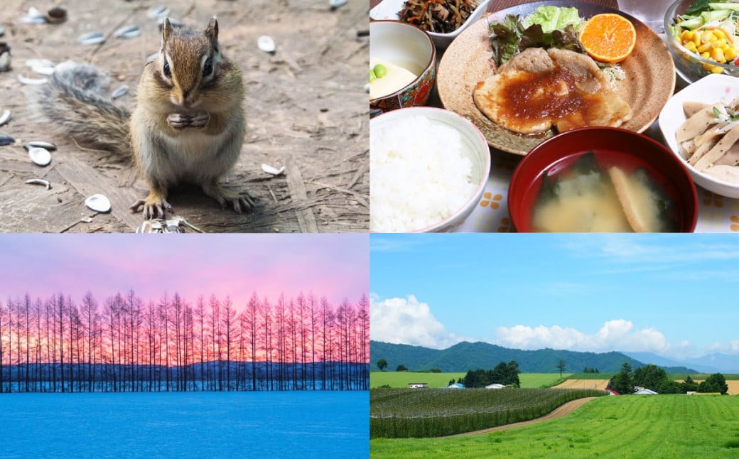 【1名様】 エゾリス君の宿カンタベリー（1泊2食付） 宿泊券 1枚 朝食 夕食 チケット [044-0232]