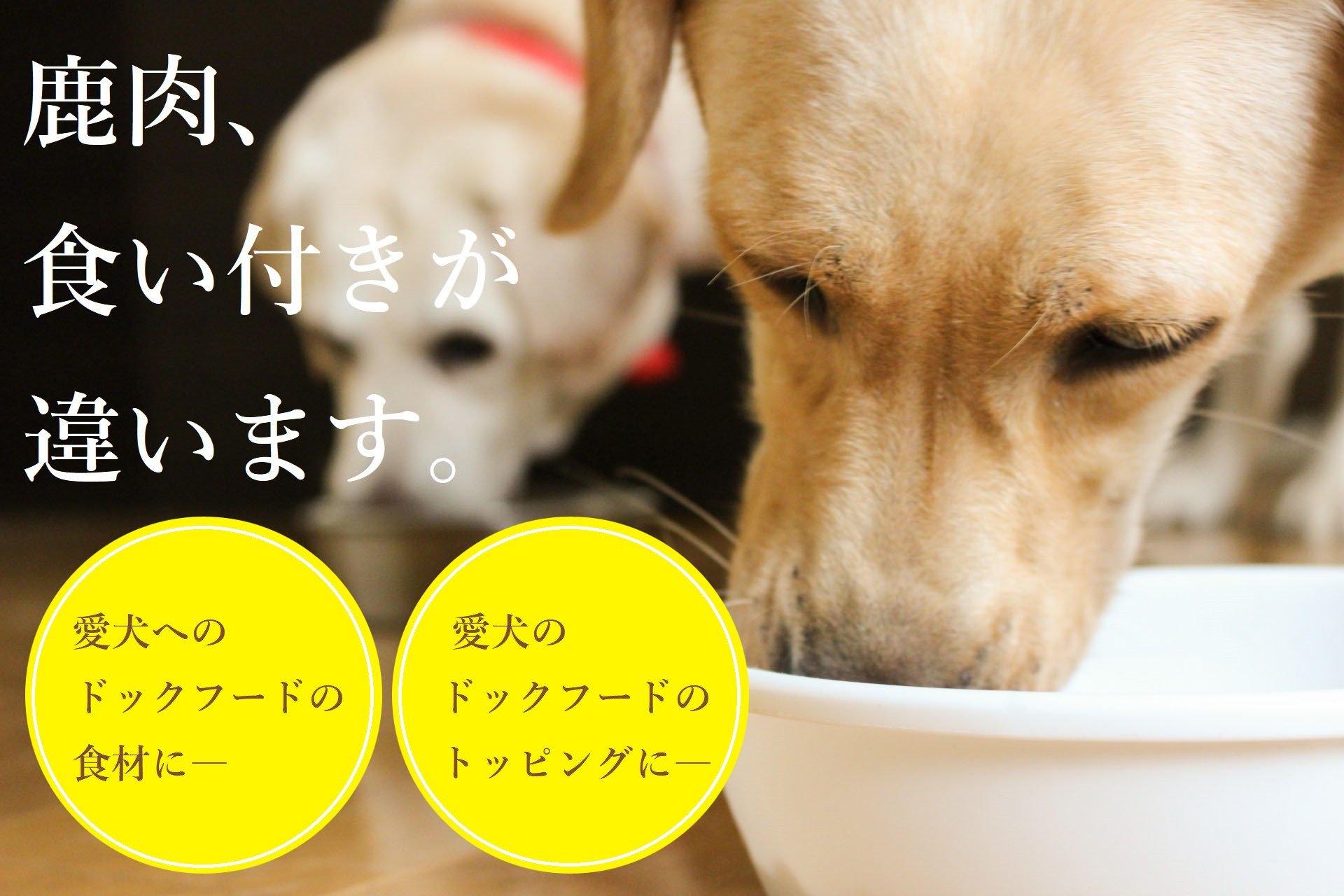 ヒューマングレードペットフード エゾ鹿肉のミンチ（犬用おやつ） [P1-46]