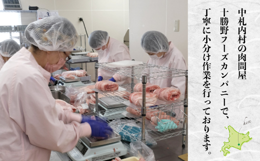 ＜1〜2か月待ち＞肉屋のプロ厳選!北海道産豚こま肉5.1kg（300g×17袋）[A1-51B] 