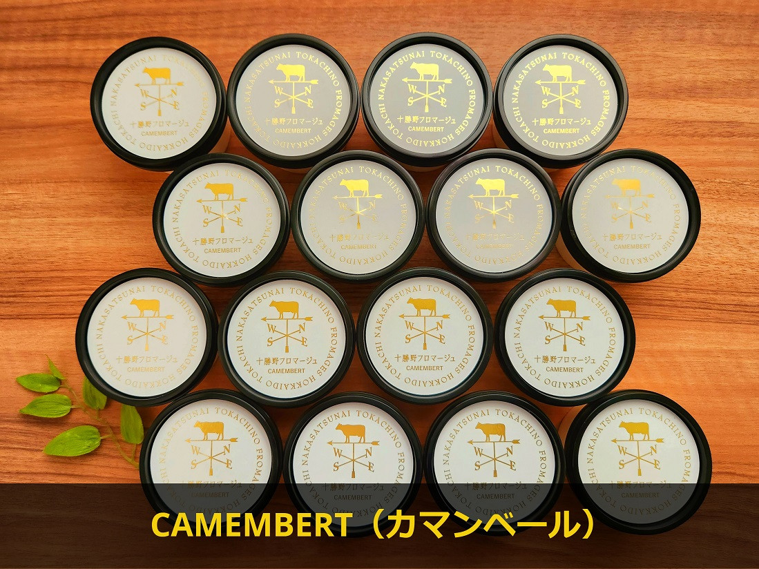 十勝産生乳の旨み！ジェラートアイスクリーム 16個セット CAMEMBERT（カマンベール）[027-0272]