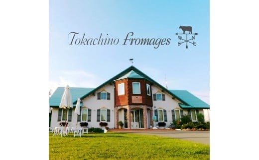 十勝産生乳の旨み！ジェラートアイスクリーム　7種14個セット[C1-9C]