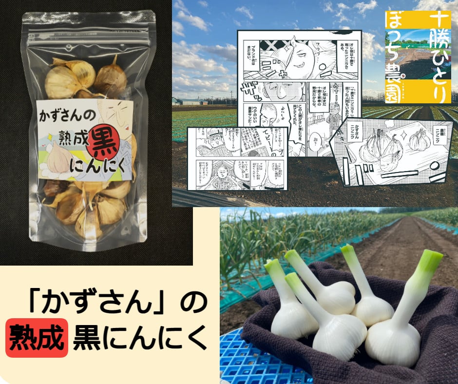 『十勝ひとりぼっち農園』でおなじみ！スゴ腕農家「かずさん」の熟成黒にんにく220g [020-0254]