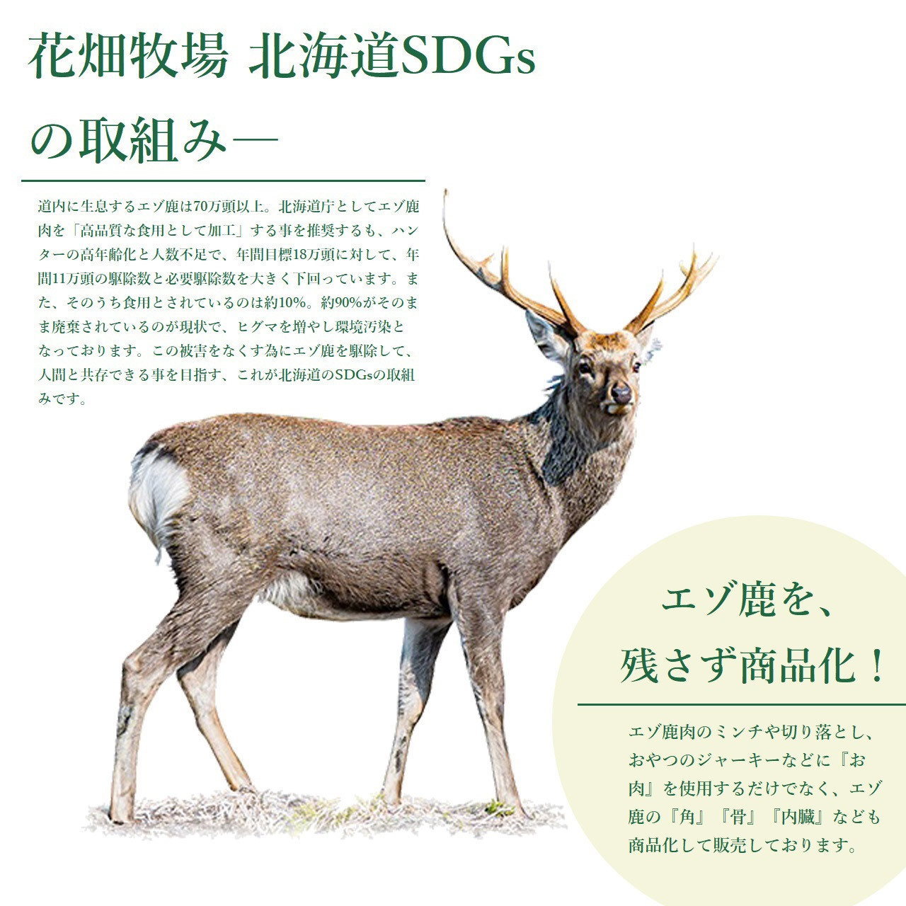 ヒューマングレードペットフード エゾ鹿肉のミンチ（犬用おやつ） [P1-46]