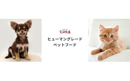 【3回定期便】 ヒューマングレードペットフード エゾ鹿肉の極上ジャーキー 30g×5個 セット （犬用おやつ） （合計450g） ／ 3回 花畑牧場 ジャーキー 鹿肉 鹿 お肉 肉 ヒューマングレード ペットフード ペット 無添加 無塩 減塩 定期便 北海道 中札内村 [002-0224]