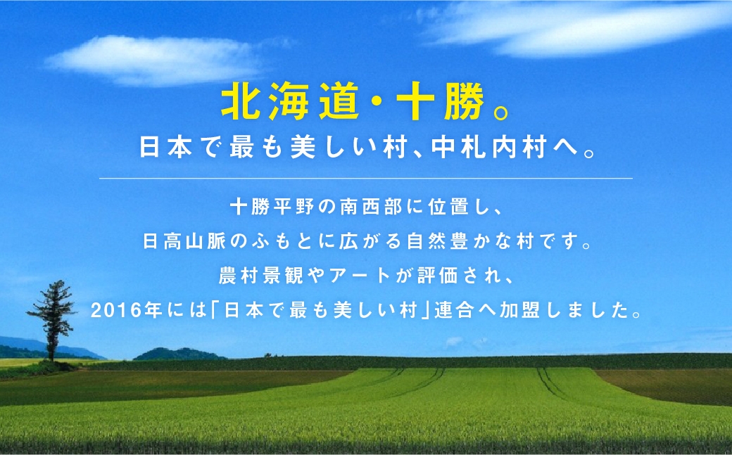 よつ葉 北海道十勝 大人のカマンベール＆ブルー 90g×4個 セット 計360g ブルーチーズ 青カビ 生乳 はちみつ ジャム フルーツ [009-0184]