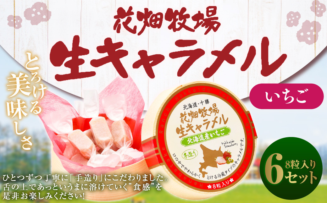 花畑牧場 生キャラメル 北海道産いちご 8粒入り×6セット 沖縄配送可 キャラメル お菓子 おやつ いちご 苺 ストロベリー 冷蔵 [002-0085]