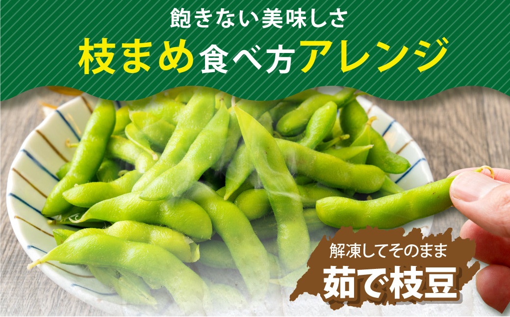 【6ヶ月定期便】そのまま枝豆 約1000g×2袋 計約12kg 枝豆 えだ豆 えだまめ エダマメ おつまみ おやつ 定期便 6回 国産 冷凍 [018-0072x1]