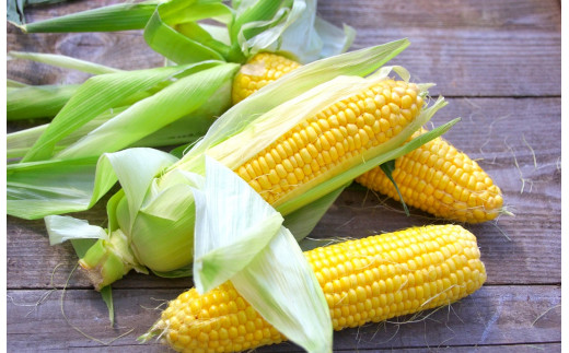 《先行受付／期間限定 200セット》[北海道・十勝 美しい村] 早い者勝ち！！産地直送★太陽の恵みを限りなく浴びたもぎたてとうもろこし／とうきび（スイートコーン） 10本 とうもろこし トウモロコシ コーン 野菜 冷蔵 国産 【2026年7月上旬～9月下旬 発送予定】[015-0092x1]