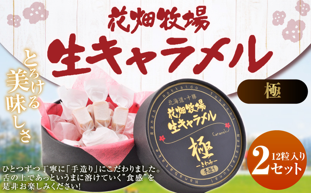 花畑牧場 生キャラメル （極 -きわみ-） 12粒入り×2セット キャラメル お菓子 おやつ マヌカハニー マヌカはちみつ 冷蔵 [002-0086]