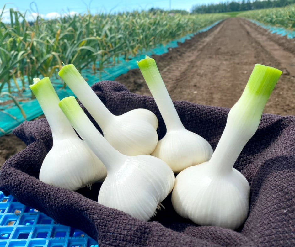 『十勝ひとりぼっち農園』でおなじみ！スゴ腕農家「かずさん」の熟成黒にんにく220g [020-0254]