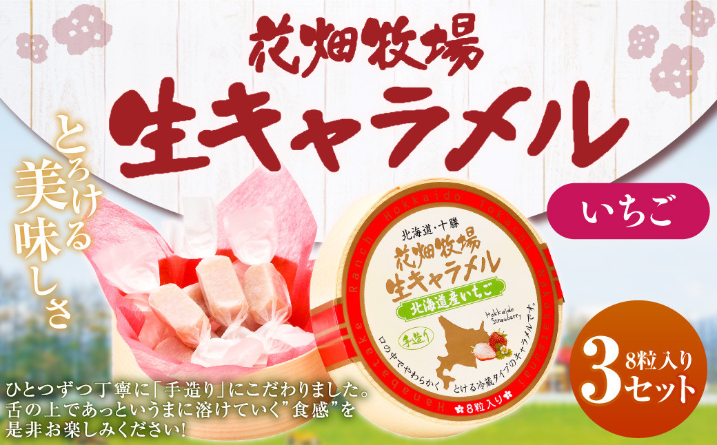 花畑牧場 生キャラメル 北海道産いちご 8粒入り×3セット 沖縄配送可 キャラメル お菓子 おやつ いちご 苺 ストロベリー 冷蔵 [002-0084]