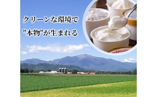十勝産生乳の旨み！ジェラートアイスクリーム　7種14個セット[C1-9C]