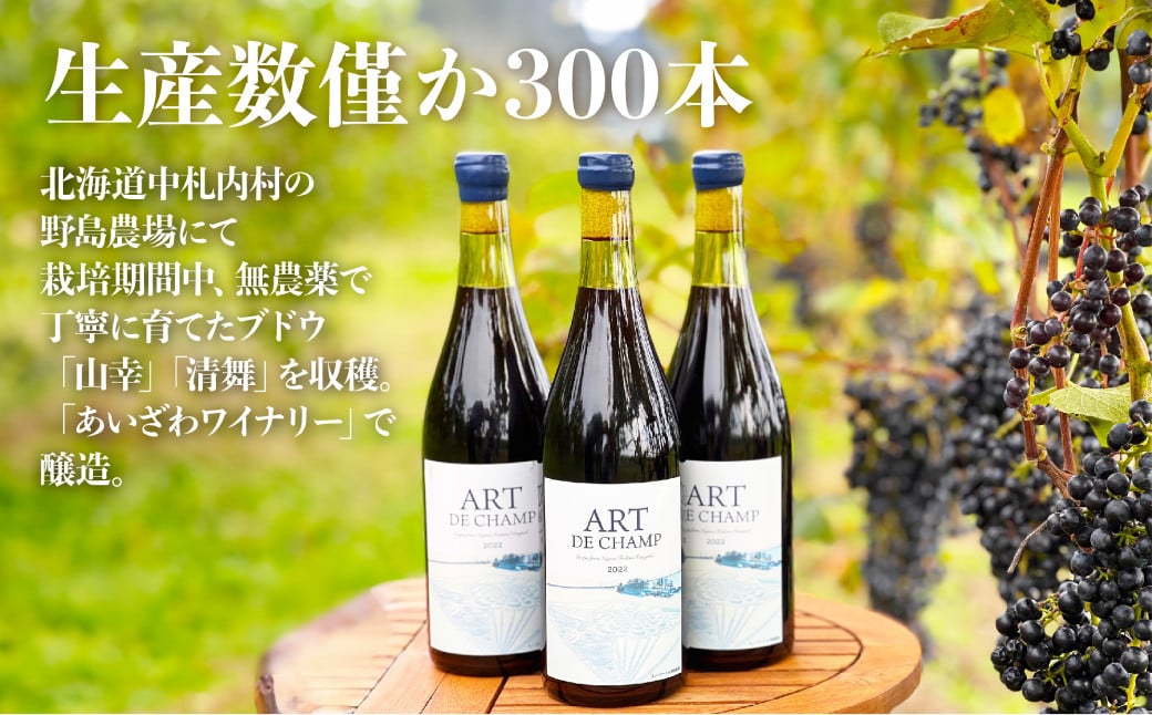 《60本数量限定》札内川ダム 熟成 赤ワイン 中札内村産 ぶどう アート・ド・シャンプ 【2025年5月上旬-2025年5月下旬発送】 ワイン 赤 お酒 おさけ 酒 ギフト [006-0015]