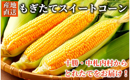 《先行受付／期間限定 200セット》[北海道・十勝 美しい村] 早い者勝ち！！産地直送★太陽の恵みを限りなく浴びたもぎたてとうもろこし／とうきび（スイートコーン） 10本 とうもろこし トウモロコシ コーン 野菜 冷蔵 国産 【2026年7月上旬～9月下旬 発送予定】[015-0092x1]