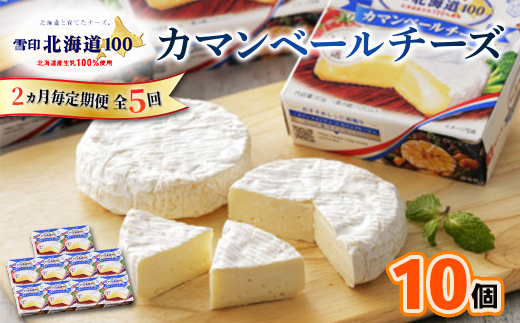 【2ヵ月毎定期便】雪印北海道 カマンベールチーズ 1箱(90g×10個入り)全5回【配送不可地域：離島】【4014035】