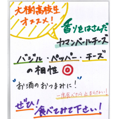 雪印メグミルク大樹工場製造「香りをはさんだカマンベールチーズ大樹物語」を10個セットにしました。【配送不可地域：離島】【1435380】