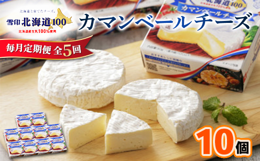 【毎月定期便】雪印北海道 カマンベールチーズ 1箱(90g×10個入り)全5回【配送不可地域：離島】【4014033】