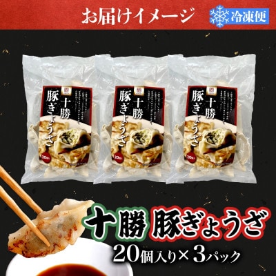 十勝 豚ぎょうざ 20個入り 3パック 十勝豚使用 北海道 大樹町【配送不可地域：離島】【1530872】