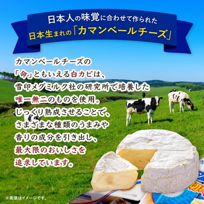 雪印北海道 カマンベールチーズ 切れてるタイプ 1箱(90g(6個入り)×10個)【配送不可地域：離島】【1476010】