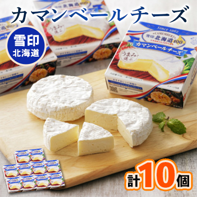 雪印北海道 カマンベールチーズ 1箱(90g×10個入り)【配送不可地域：離島】【1476011】