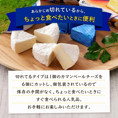 雪印北海道 カマンベールチーズ 切れてるタイプ 1箱(90g(6個入り)×10個)【配送不可地域：離島】【1476010】