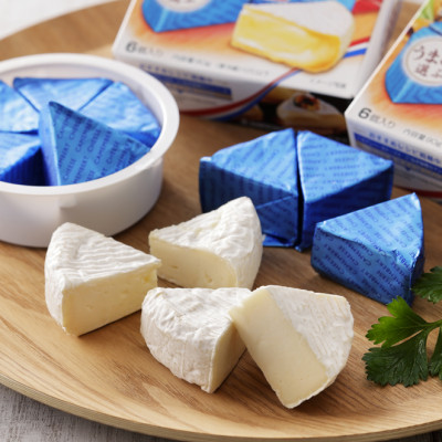 雪印北海道 カマンベールチーズ 切れてるタイプ 1箱(90g(6個入り)×10個)【配送不可地域：離島】【1476010】