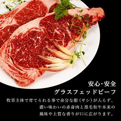 【毎月定期便】和牛道ハンバーグ120g×6食セット 大樹町 黒毛和牛 グラスフェッドビーフ全12回【配送不可地域：離島】【4071617】