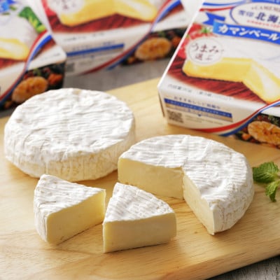 【2ヵ月毎定期便】雪印北海道 カマンベールチーズ 1箱(90g×10個入り)全3回【配送不可地域：離島】【4014037】