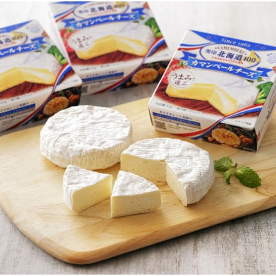【2ヵ月毎定期便】雪印北海道 カマンベールチーズ 1箱(90g×10個入り)全5回【配送不可地域：離島】【4014035】