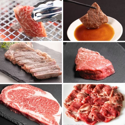 【毎月定期便】十勝姫  北海道 黒毛和牛 焼肉・ステーキ・しゃぶしゃぶ用 グラスフェットビーフ全6回【配送不可地域：離島】【4071531】