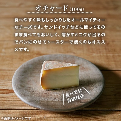 半田ファームの自家製チーズ 5種セット【配送不可地域：離島】【1721814】