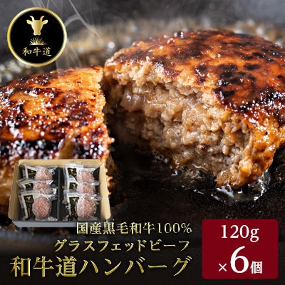【毎月定期便】和牛道ハンバーグ120g×6食セット 大樹町 国産黒毛和牛 グラスフェッドビーフ全6回【配送不可地域：離島】【4071620】