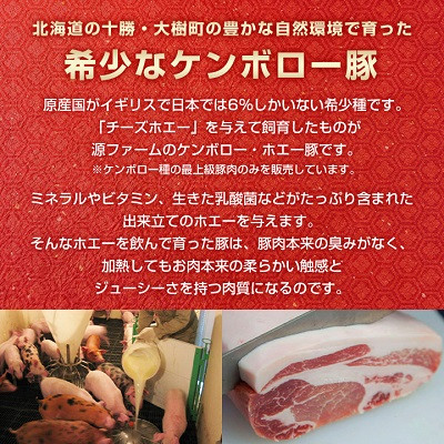 ケンボロー・ホエー豚　ブロック肉 2kgセット【CT-006】【配送不可地域：離島】【1396944】