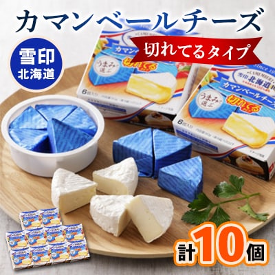 【毎月定期便】雪印北海道 カマンベールチーズ 切れてるタイプ 1箱(90g(6個入り)×10個全5回【配送不可地域：離島】【4014039】